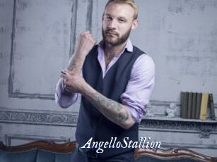 AngelloStallion