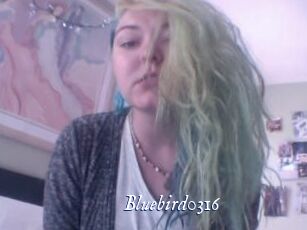 Bluebird0316