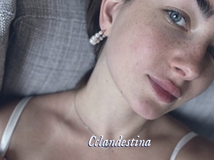 Cclandestina