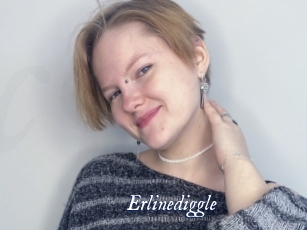 Erlinediggle