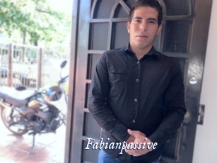 fabianpassive Cam 5
