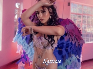 Kattrose