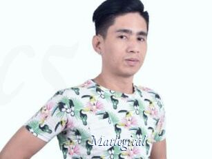 matlogical Cam 5
