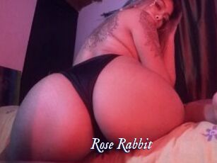 Rose_Rabbit