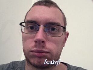 Snakefl