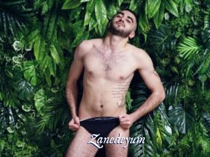 Zanedeyum