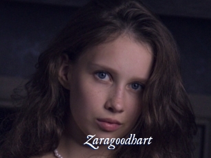 Zaragoodhart